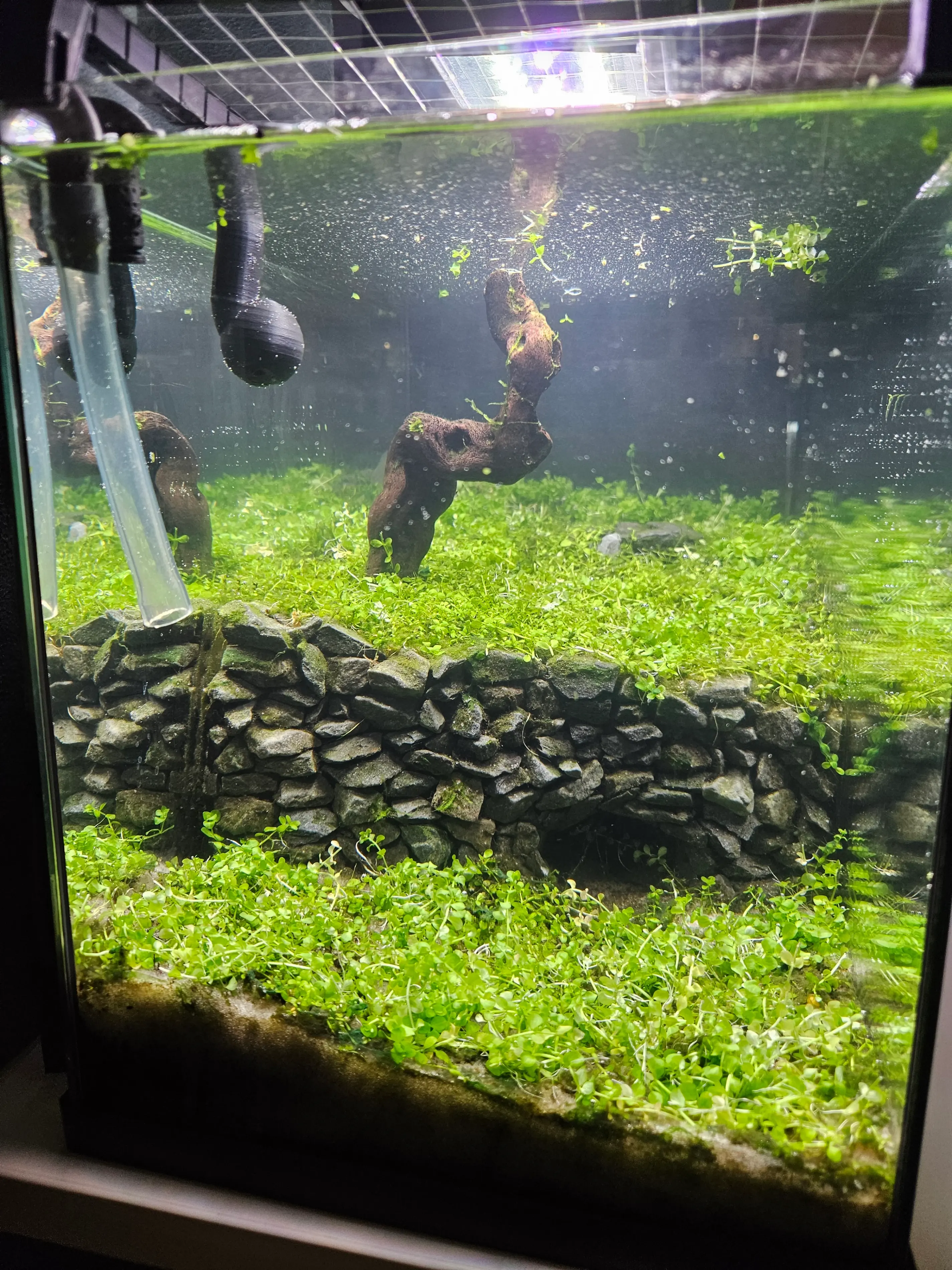 Aquarium 2.0 image 2
